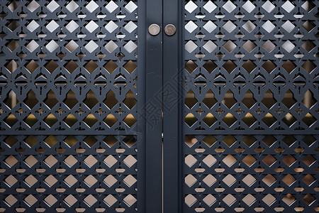 黑色的铁门围栏铁门高清图片