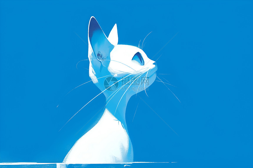 仰望的深蓝猫咪图片
