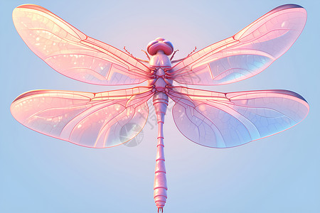幻彩蜻蜓背景图片