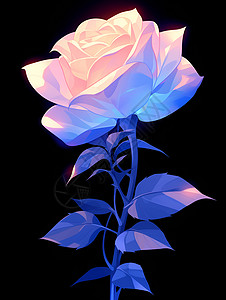 玫瑰之美背景图片