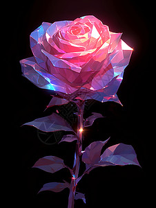 浪漫绽放的玫瑰背景图片