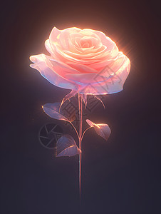 玫瑰的迷人插画背景图片