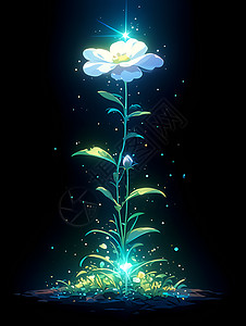 漆黑背景下的发光花朵插画