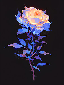 孤独的玫瑰背景图片