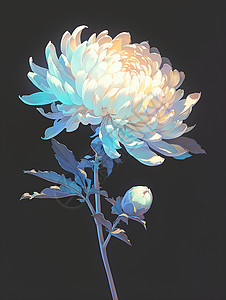 一朵孤零零的白色花朵插画