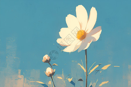 绽放的美丽白花背景图片