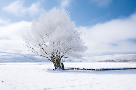 雪原上的树河流雪原高清图片