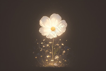 发光的花朵背景图片
