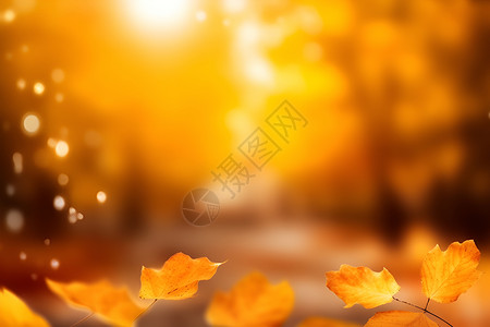 秋叶素材秋日金光闪烁设计图片
