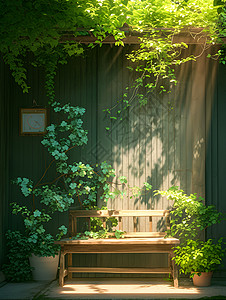 阳光花园中的木椅高清图片