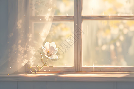 窗前上的鲜花背景图片