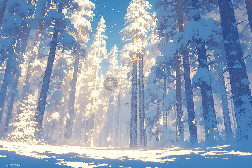 白雪皑皑的森林图片