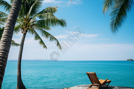 大海椰树海滩上的一把椅子背景