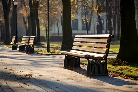 公园中的空荡荡的长椅背景图片