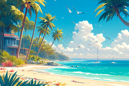 海边的热带美景背景图片