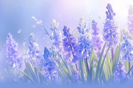春色绚丽紫色花朵背景图片