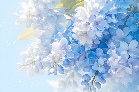 风信子亚科植物盛开的蓝色风信子插画