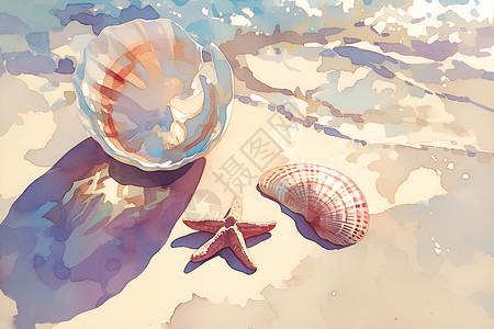 海洋生物海星海滩上的贝壳和海星插画