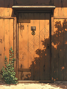 阳光下的木门背景图片