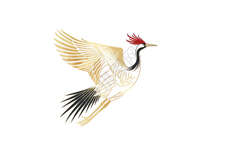 红头山雀飞翔的红冠鹤插画