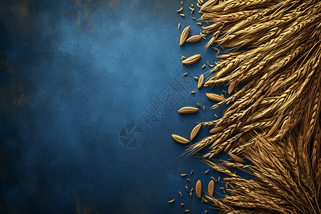 金稻穗蓝色背景上的谷物插画
