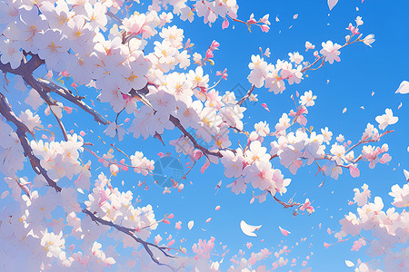 春天绽放的樱花背景图片
