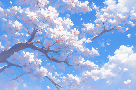 粉色樱花下的蓝天背景图片