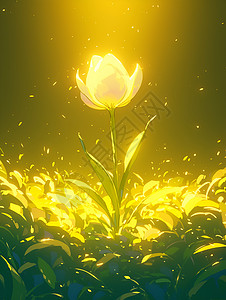光芒闪耀的一枝花背景图片