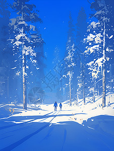 冬季森林里的松树背景图片