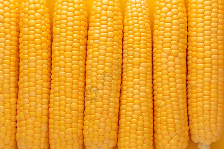 金色新鲜玉米段健康新鲜的玉米插画