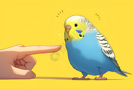 宠物点赞手指用手指戳鹦鹉插画