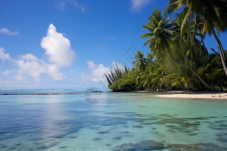 热带海滩跨太平洋高清图片