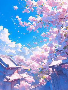 绚烂美丽的樱花背景图片