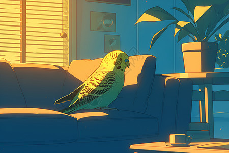 扇尾沙锥鸟类沙发上的鹦鹉插画