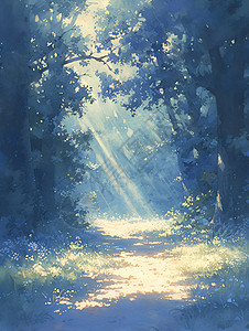 森林小路上的阳光背景图片