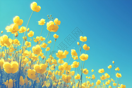 黄色小花素材盛开的黄色小花插画