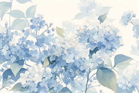蓝色绣球花的水彩插画背景图片
