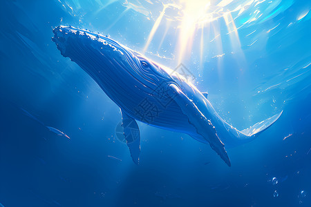 巨怪海洋里畅游的巨鲸插画
