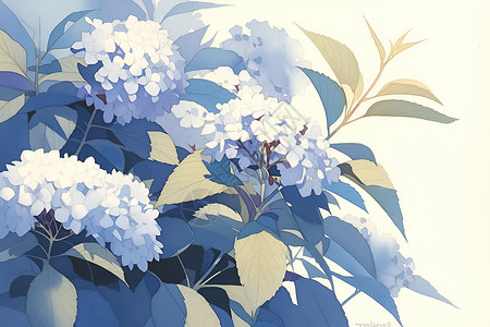 绣球花的水彩画背景图片