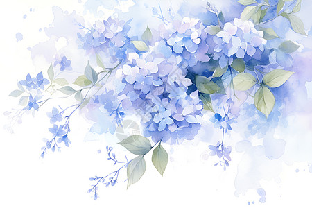 鲜花水彩盛开的蓝色绣球插画