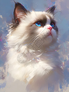蓝眼睛的黑白猫仰望天空高清图片