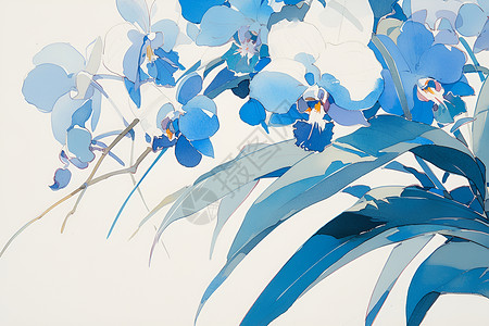 淡蓝色花朵淡蓝色的兰花插画