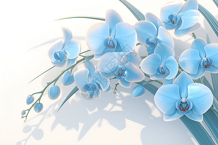 珍稀植物珍稀的蓝色兰花插画