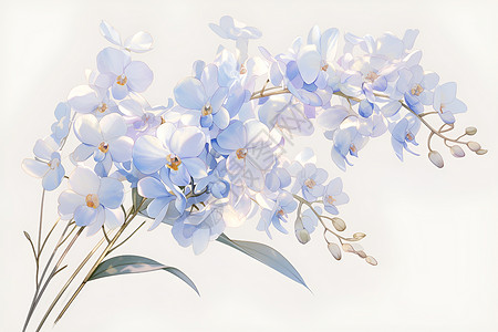 清新淡雅的兰花背景图片