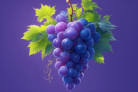 水果丰富丰富饱满的葡萄插画