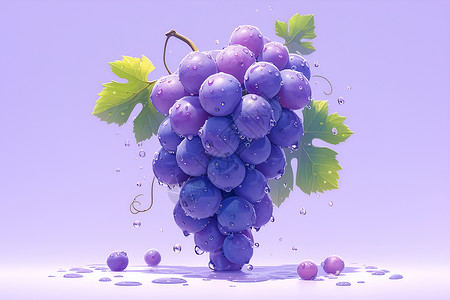 葡萄叶紫色背景中的诱人葡萄插画