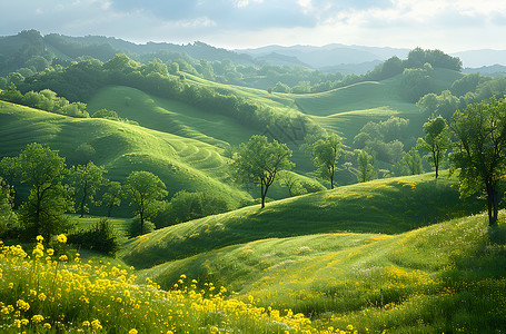 绿色绵延的小山丘高清图片