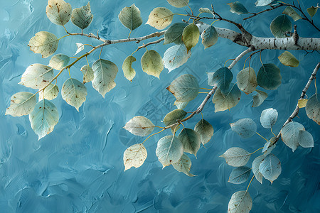 叶子蓝色的天空天空白桦树枝插画