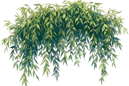 垂下柳树倒垂在白色背景下景上大麦藤蔓数字渲染写实主义中文标题柳树倒垂绿叶卡通风格扁平插画(19个中文字符)插画