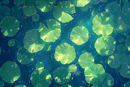 茂密叶子漂浮在水面上的茂密荷叶插画